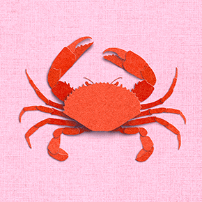 crab gif